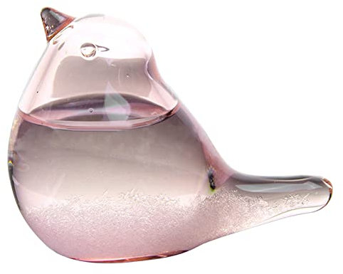FONDUO Sturmglas, Wetterstation Liquid Barometer Wettervorhersage Niedlich Kreative Vorhersage Nordic Style Dekoratives Wetterglas für Home Office, (Vogel)