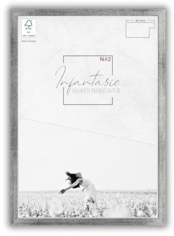 Infantasie 'N°2' Bilderrahmen 37,5x98 handgefertigt nach Maß | Silber gebürstet | MDF Holz-Design Collage Rahmen inkl. Kunstglas und Metall Aufhänger (Querformat & Hochformat)