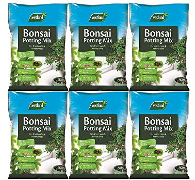 Garden & Outdoors Westland Bonsai-Blumenerde, Mischung und Angereichert mit Seramis, 4 Liter, 6 Stück