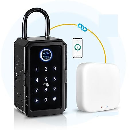 Schlüsselkasten, Schlüsselsafe Tuya Ttlock Fingerabdruck Digitaler Schlüsselkasten App Fernzugriff Wandmontage Kombination Sicherheitsschlosskasten für Parkservice, Hotel-, Auto- und Hausschlüssel ( C