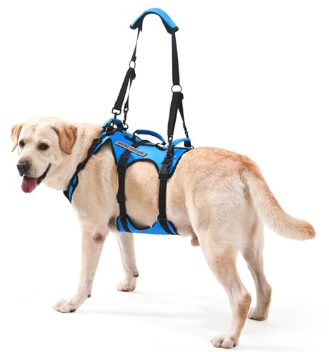 Lafoty Hunde Hebegeschirr Ganzkörper, Tragehilfe für große Hunde, Hundehilfe bei Arthrose & Gelenkproblemen, 3 Griffe, Schultergurt, Blau, L
