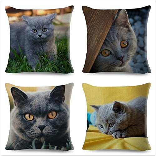 Tinnoon Kissenbezug 40x40cm 4er SetBoho Wohnzimmer Outdoor Deko, Schlafzimmer Zimmer Dekor Kissenhülle Kissenbezüge mit Verstecktem Reißverschluss, Couchkissen, Sofakissen Weinachten Süße Katze