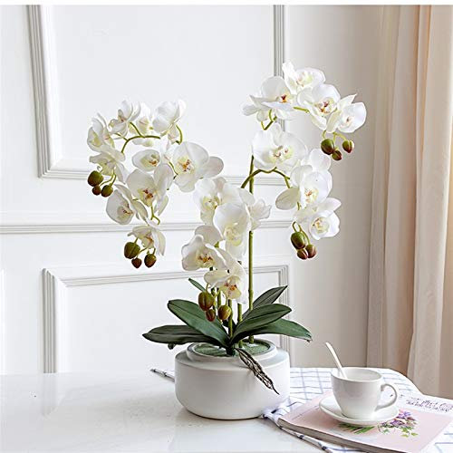 Dekor Künstliche Blumen mit Vase Künstliche Blumen mit Vase Orchidee Phalaenopsis Gefälschte Blume in Vase Mittelstücke für Esszimmertisch, Wohnzimmer Weiß/Rosa Kunstblumenarrangements Ornamente (