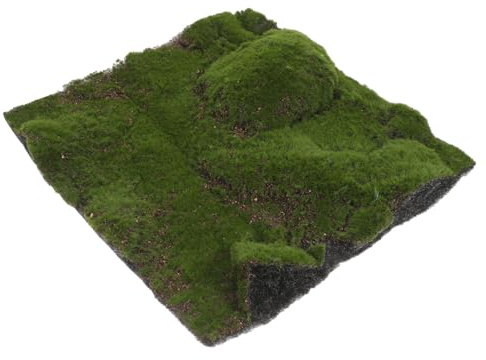 ibasenice Tappeto di Muschio Artificiale per Interni Ed Esterni Prato Sintetico Realistico Tappeti Erbosi per Bonsai Paesaggi in Miniatura Decorazioni da Giardino