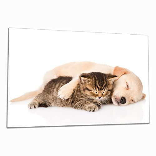 Wallario Herdabdeckplatte/Spritzschutz aus Glas, 1-teilig, 80x52cm, für Ceran- und Induktionsherde, Katze und Hund in Harmonie - Kuschelnde Tiere