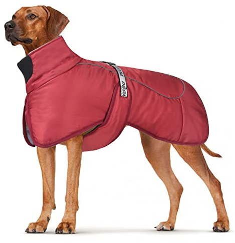 DoggieKit Cappotti per Cani Impermeabile Antivento Caldo Inverno Sicuro Strisce Riflettenti Filettate Giacca per Cani di Taglia Media con Foro per imbracatura Cucciolo Pet Freddo Vestito Vestiti Gilet