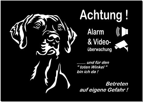 Rhodesian Ridgeback-Alarm + Videoüberwacht-Hund-Schild-Hundeschild- 3 Größen-Aluminium-Hunde-Tierschild-Warnschild-Hinweisschild (1450-137=20x15 cm mit 2 Löcher)