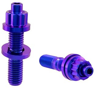 RISON-Titanium 2 Set Goujons Filetés pour Collecteur d'échappement en Titane M8 M10, Kit de Boulons et écrous du Collecteur d'échappement pour Auto, Moto