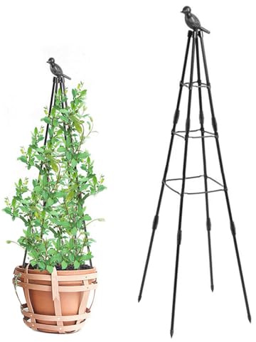 Wedhapy Traliccio obelisco per Piante rampicanti da Esterno, tralicci da Giardino Regolabili in Altezza 63'', obelisco antiruggine, pianta Rimovibile da Interno per Fiori