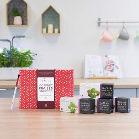 VERITABLE - Erdbeer-Geschenkset: 4 Lingots - Kompatibel mit allen Gartenarten (Erdbeer)