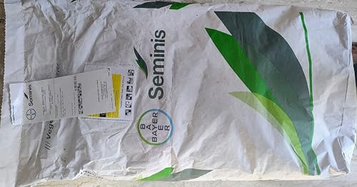 FAGIOLO SV1545GA SEMINIS, SACCO DA 100000 SEMI