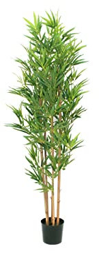 artplants.de Plastik Bambus ELISSO, Echtstämme, 150cm - Künstliche Bambuspflanze