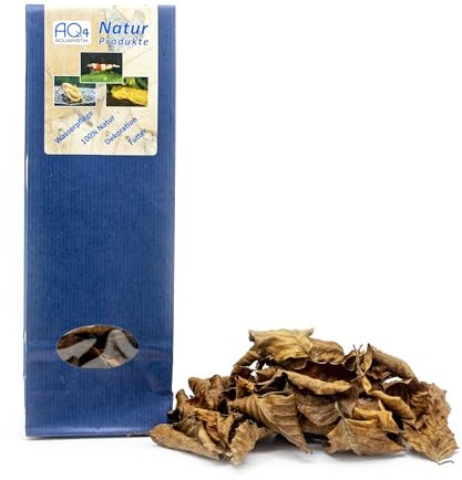 AQ4Aquaristik Buchenlaub - 40 Buchenblätter - getrocknet - Dekoration, Futter, Wasserpflege fürs Aquarium, Naturprodukt