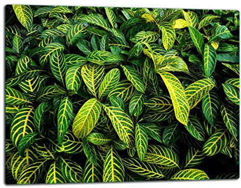 TMK ArtDeko – Schneidebrett Glas – Glasschneidebrett für die Küche 52x40 cm – Robust, Hygienisch & Rutschfest – Glas Schneidebrett – Zusätzliche Arbeitsfläche – Vielseitige Nutzung