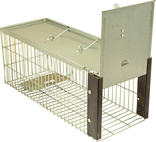 St Helens Home & Garden Live Animal Trap - Ideal for catching squirrels, rats and similar sized animals, humane trap