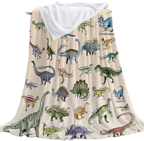 Cartoon Dinosaurier Decke, Digitaldruckdecke, Kinderdecke, Sofadecke-KTKL 03-100x150 cm
