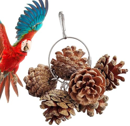 Parrot Chew Toy, Fågelleksaker för papegojor söker föda Naturliga nötter | Fågelburtillbehör, Fågelleksaker för bur för små och medelstora , kakaduor, parakiter