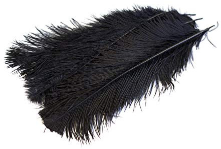 5 Straußenfedern ca. 35-40cm Vogelfedern Bastelfedern Schmuckfedern Karneval Fashing Strauß, Farbauswahl:schwarz 030