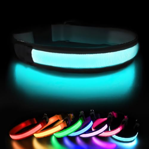 MASBRILL Leuchthalsband Hund Aufladbar, Hundehalsband Leuchtend Wasserdicht für Kleine Mittlere Große Hunde, LED Halsband für Hunde Einstellbar Halsband Hund Leuchtend mit 3 Leuchtmodi, Schwarz - S