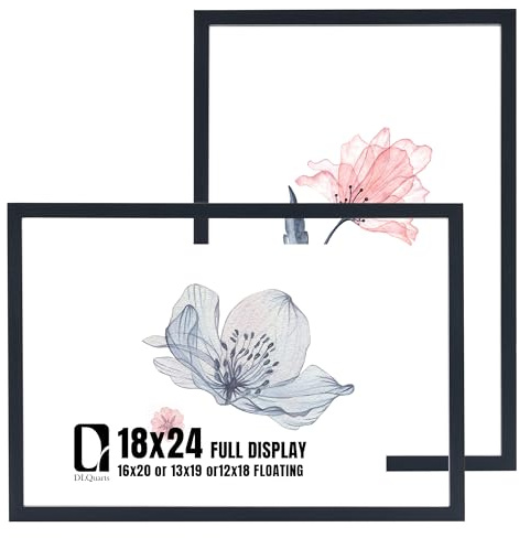 DLQuarts 18x24 Floating Picture Frame for 16x20/13x19/12x18/11x14 Photos, 2-Pack Solid Wood Double Plexiglass Wall Art Frames, Any Size Photo up to 18x24 Display, Black