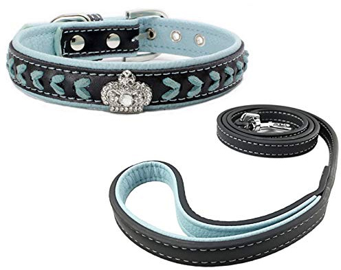 Newtensina Hundehalsband und Leine Set Nylonbänder gewebter Bling Kragen Leder Diamante Welpen Halsband mit Leinen für Hunde - Blue - M