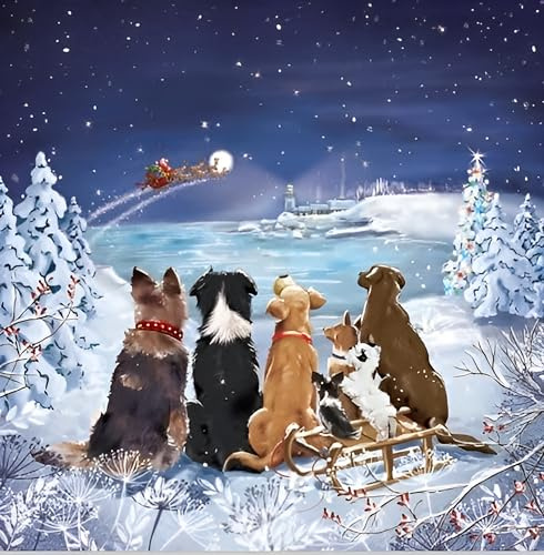 Noel Tatt Charity Christmas Cards Pack of 10 - Dogs Watching Santa - Festive Christmas Cards Multipack - In Aid of UK Charities