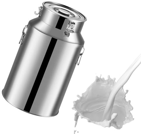 Bricco per latte in acciaio inox da 5 litri con coperchio sigillato per conservare liquidi e tè, secchio per il trasporto, contenitore fisso per latte