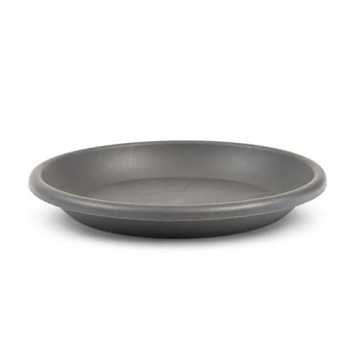 Greemotion Sottovaso per piante, colore antracite, con fiori, diametro di 34 cm, altezza 4,4 cm, sottovaso in plastica, sottovaso rotondo