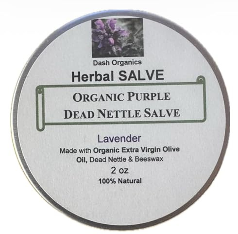 Organic Herbal Salve | 2oz | Lavender Scented | Made with Organic Extra Virgin Olive Oil (Purple Dead Nettle)