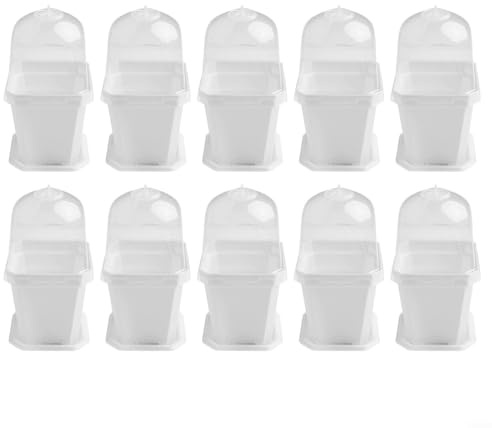 Lot de 10 pots de fleurs carrés avec dôme d'humidité avec trous de drainage et plateau inférieur, pour plantes grasses, herbes aromatiques, jardin (15,5 cm, blanc)