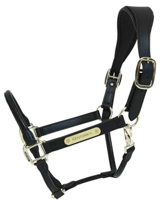 Anatomical leather halter Kentucky