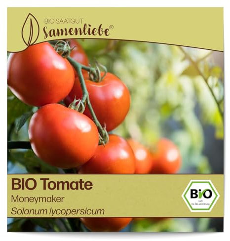 Samenliebe BIO Tomaten Samen alte Sorte Moneymaker Freilandtomate Stabtomate rot 10 Samen samenfestes Gemüse Saatgut für Gewächshaus Freiland und Balkon BIO Gemüsesamen