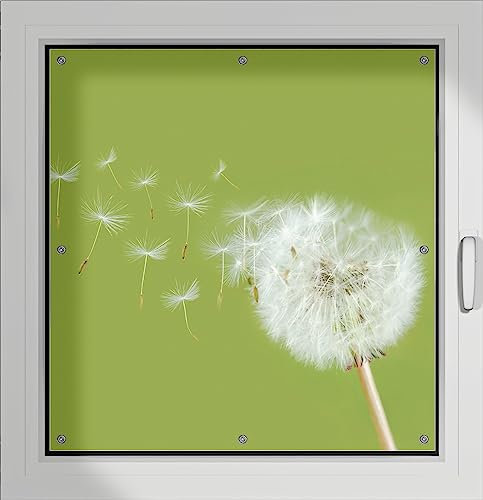 Wallario Lichtschutzbild, Dekorativer Sichtschutz Sonnenschutz 96 x 93 cm mit Motiv: Pusteblume auf der Wiese mit fliegenden Samen - Verdunklungsrollo ohne Bohren