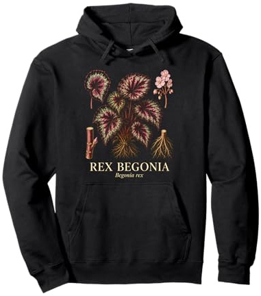 Rex Begonia Begonia Rex Colorful Houseplant Plant Study Pullover Hoodie