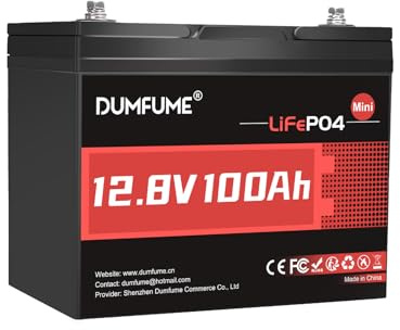 Dumfume 12V 100Ah Mini LiFePO4 Lithium Batterie, 100A BMS, 1280Wh, bis zu 15000 Zyklen 10-Jahres Lebensdauer Perfekt für Wohnmobile, Solaranlagen und Heim-Energiespeicher