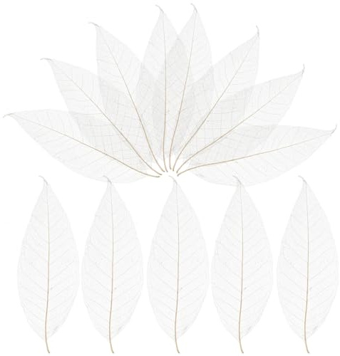 Milisten 100pcs Skeleton Leaves Rubber Tree Natural Scrapbooking Craft DIY Card Wedding Scrapbook DIY Handmade Embellishment