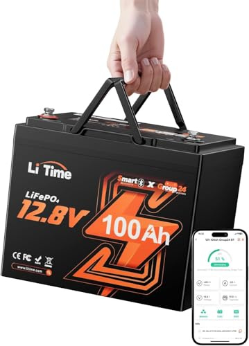 LiTime Batterie Lithium 12V 100Ah Compacte avec Bluetooth pour Camping-Car | Max. 15000 Cycles, 1280Wh, BMS 100 A, Remplacement AGM, Légère, Batterie LiFePO4 pour Caravane, Fourgon, Van, Bateau de Pêche