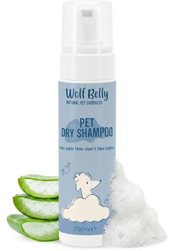 Wolf Belly - Champú en Seco en Espuma para Perros y Gatos (200 ml) | Limpia sin Agua, Elimina Suciedad y Olores | Sin Aclarado | con Aloe Vera y Glicerina | Uso Rápido y Diario - Hecho en España