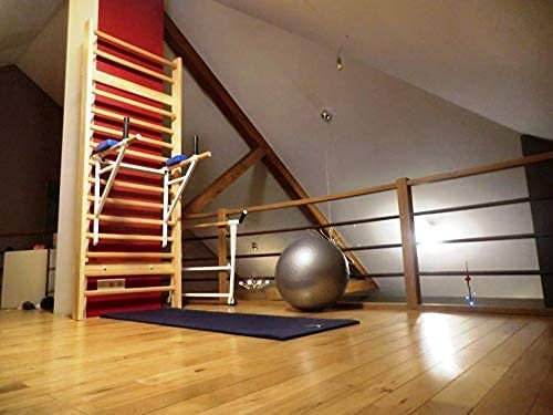 ARTIMEX Set Sprossenwand mit Dip Ständer für Gymnastik und Fitness - verwendet in Heimen, Fitnessstudios und Fitnesscentern, Artikelnr. 270-1