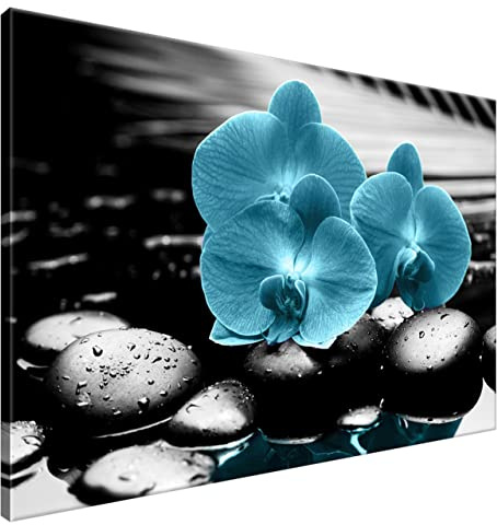 Estika Leinwand bilder - Türkis Orchideen, Schwarz weiß Hintergrund - 120x80 cm, 1 teilige kunstdruck - Wandbilder wohnzimmer, schlafzimmer, Moderne wanddeko, Bild auf leinwand - 2398A_1B