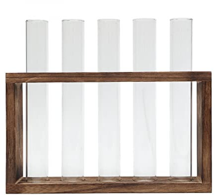 YXSH Piante Verdi Idroponiche Provetta Vaso Cultura dell'Acqua Composizione Floreale Contenitore per Piante Semplice Supporto in Legno Decorazione Creativa Articoli per Fiori in Vetro
