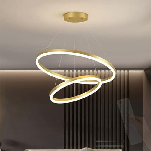 TZSMUM LED Modern Pendelleuchte Innen 2 Ring Design Hängelampe mit Fernbedienung Pendellampe 2700K-6500K Dimmbar Aluminium Acryl für Wohnzimmer Schlafzimmer Treppenhaus (20+40cm,Gold)