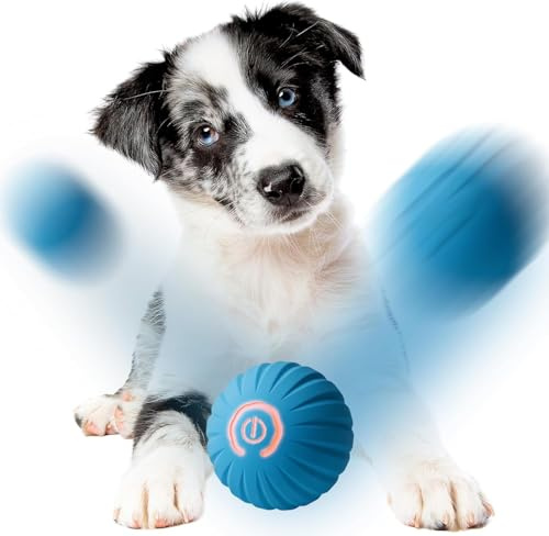 Pelota interactiva para perros – Pelota para perros autorebotante, vibrante y resistente a las mordeduras – Dinámica, envolvente, recargable por USB y con luz LED – Juego para tu perro feliz y activo