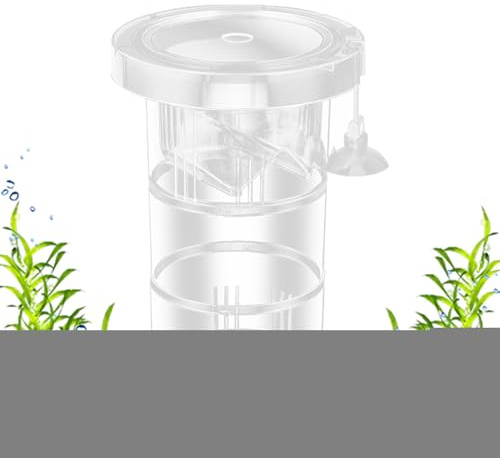 Züchterbox für Aquarien, Fisch-Isolationsbox, verstellbare Trennwand für Frittiere, verletzte Wasserlebewesen, Kultivierung, Guppy, Betta, Lebendfutter, Salzwasserpflanzen