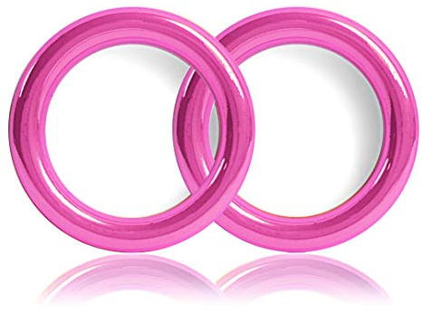 Ganzoo O-Ring Metall rund für Hunde-Leine & DIY, Pink, 25 mm Innen-Ø (35 mm Außen-Ø), 2 Stück, legierter Stahl rostfrei, Ring für Paracord 550 Halsband Handtasche