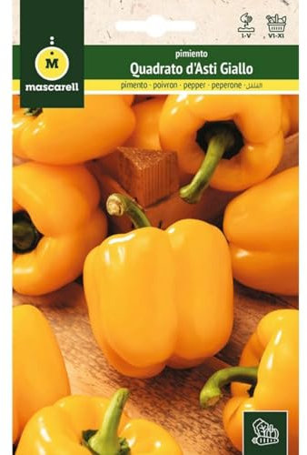 Mascarell Graines, Poivron, Graines Potager, Poivre Quadrate D'ASTI GIALLO, créez votre propre potager urbain et culture à la maison, plantes horticoles, 1 g