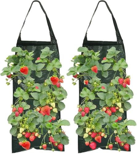 hankousi 2Pcs Hanging Strawberry Plant Bags, Vertical PE Plant Bags Hanging with 8 Holes Suspended Strawberry Growing with Handles for Outdoor Gardening Herbs Vegetables Greening