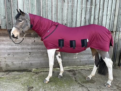 Abschwitzdecke mit Halsteil für Pferde | Voller Bauchschutz, Abnehmbares Halsteil und XL-Schweifschutz | Premium Qualität von Snuggy Hoods | 3 Farben, 14 Größen