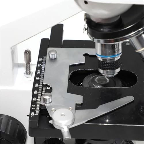 YEUBXDJ XP200 Trinocular Binocular Microscope - 40X-1600X Educational Science Lab Microscope with 12.5X Phone Holder(Binocular)