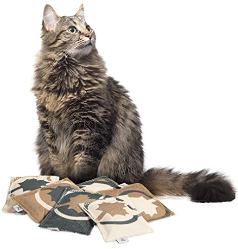 CanadianCat Company | 6er Pack | Katzenkissen Love | 5g Baldrian | Knuddel Kissen für Katzen Schmusekissen